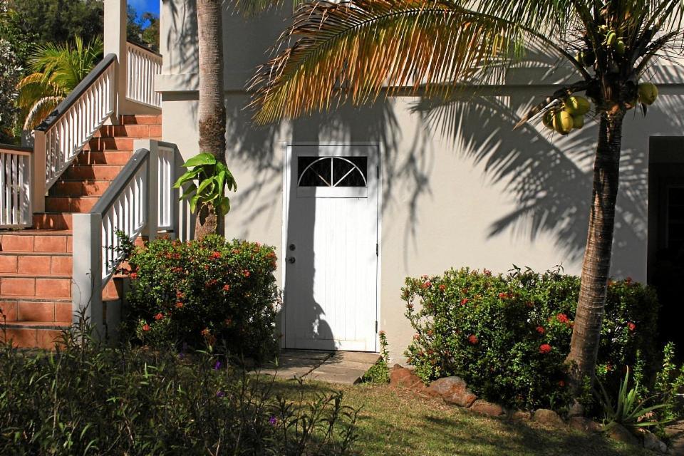 Appartement Cosynest à Basseterre Extérieur photo